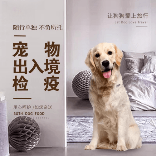 拉萨宠物托运到哥伦比亚猫狗宠物入境规定和