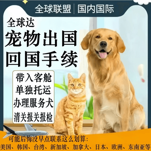 拉萨宠物托运到柬埔寨宠物入境规定和要求