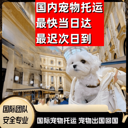 拉萨到澳大利亚（澳洲）宠物入境规定和要求