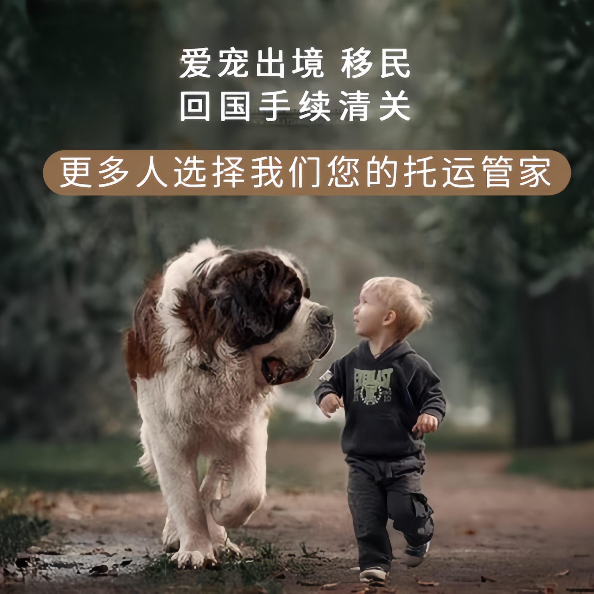 满财拉萨宠物全球达宠物托运在遵守入境目的地政策的条件