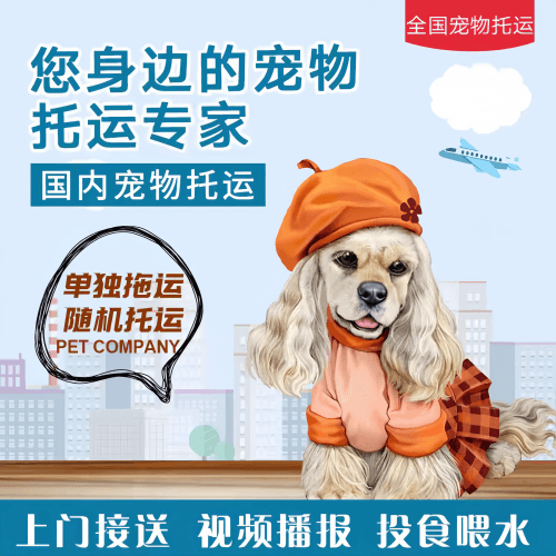 满财拉萨宠物全球达宠物托运作为专业的宠物运输代理机构